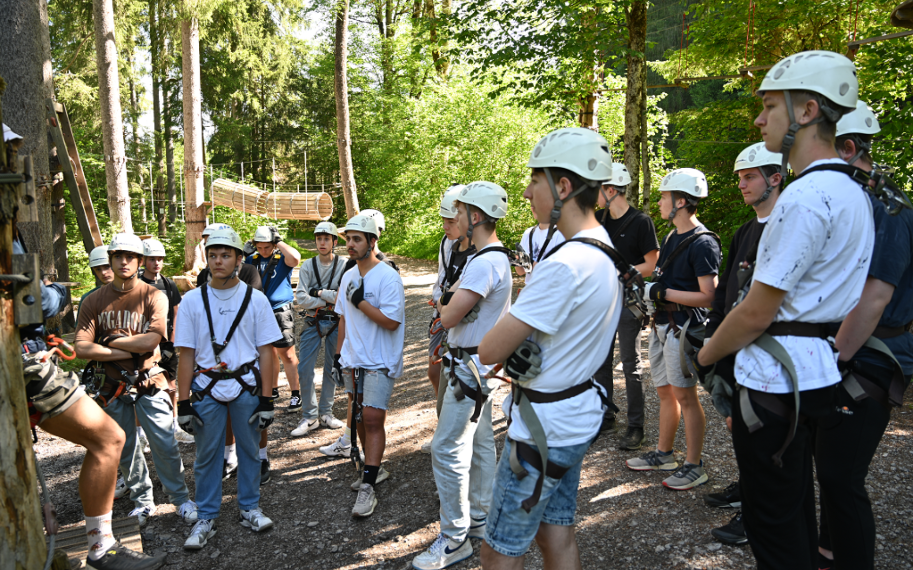 2023 02 10 17 20 32 DSC 5592 JPG Paint