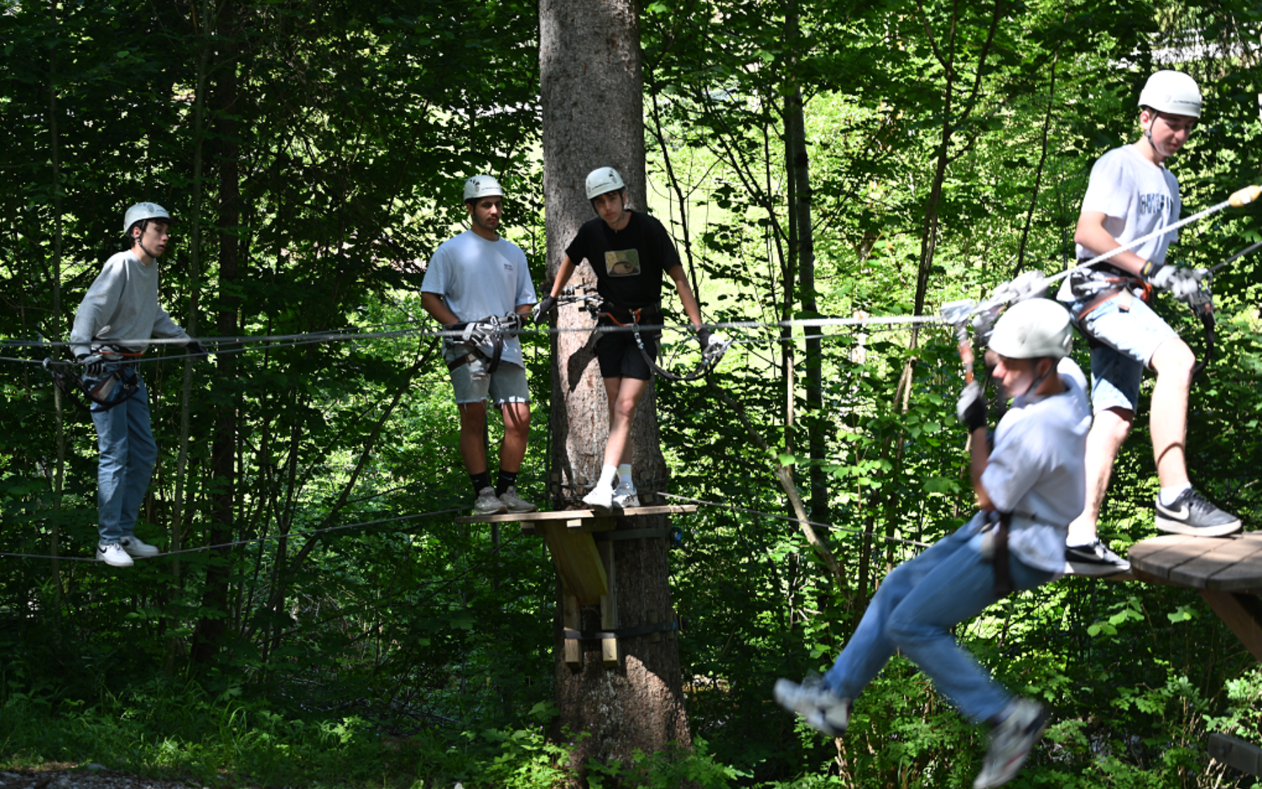 2023 02 10 17 20 50 DSC 5595 JPG Paint